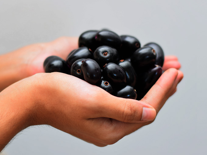 Hand mit Jambulbaum-Früchten – pflanzliche Nahrungsergänzungen können Teil einer Diabetes-Typ-2-Behandlung sein