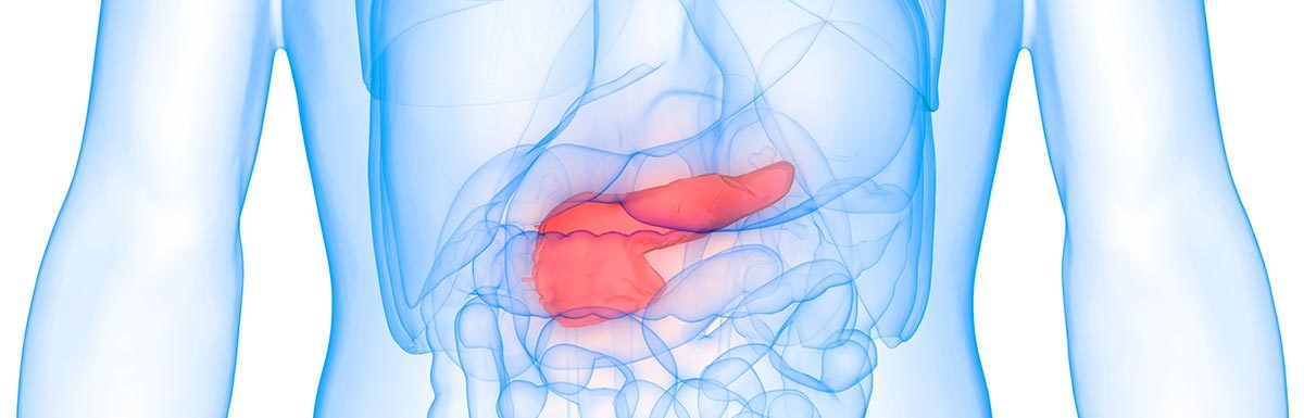 Scan-Ansicht von Form und Lage der Bauchspeicheldrüse: Diabetes kann das Organ schwer schädigen.
