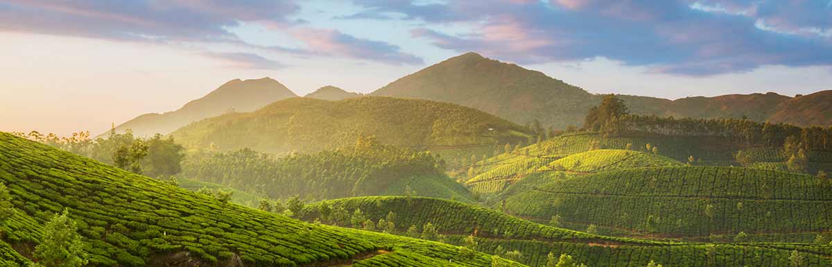 Eine grün bewachsene Berglandschaft: Die Glycowohl-Inhaltsstoffe kommen aus der Natur.